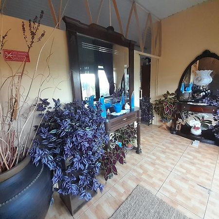Hotel Gite Cantinho Davo Campea Экстерьер фото